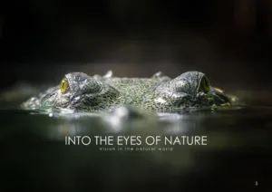 Into the Eyes of Nature