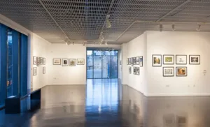 The Civic: Why do you hire touring exhibitions?