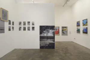 Home: Ukrainian Photography, UK Words