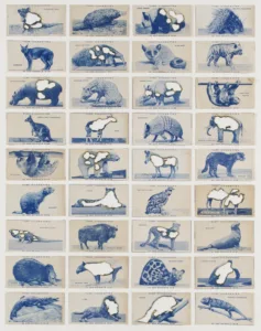 Hit List. A visual guide to the extinction of animals.