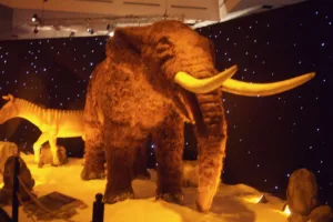 Ice Age