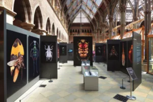 Case Study: Are you looking for help to tour an exhibition?