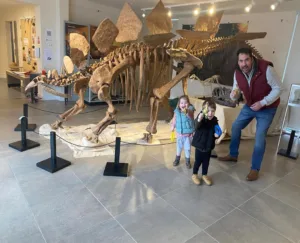 STEGOSAURUS UNCOVERED
