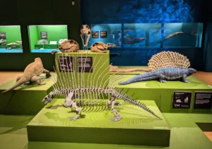 CARBONIFEROUS MONSTERS – 100 million years before the dinosaurs