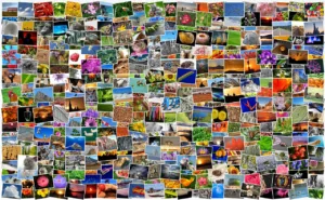 Members! We’d love to share your images