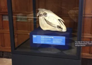 Horniman Museum: Addressing barriers to access through touring