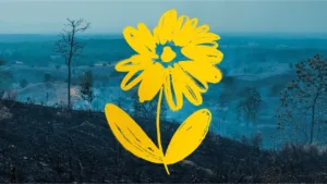 Fixing Our Broken Planet