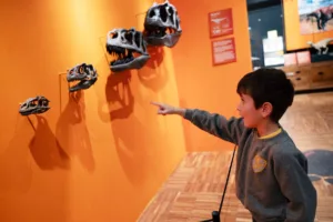 Dinosaurs: Hungry Hatchlings