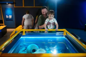 Mysteries from the Deep: Exploring Underwater Archaeology