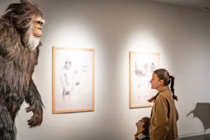 Comparative Anatomy of Imaginary Species