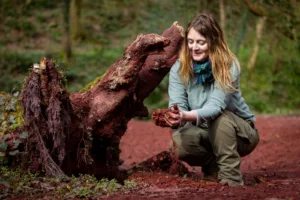 Sacred Earth: Water Tree Stone