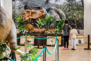Dinosaur’s, Monsters and Lost Worlds